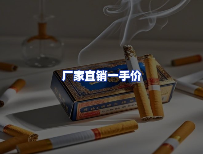 专业团队